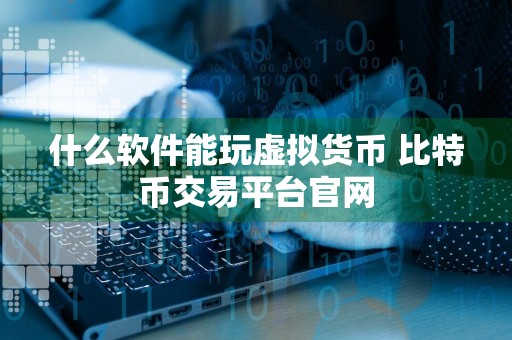 什么软件能玩虚拟货币 比特币交易平台官网
