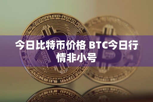 今日比特币价格 BTC今日行情非小号