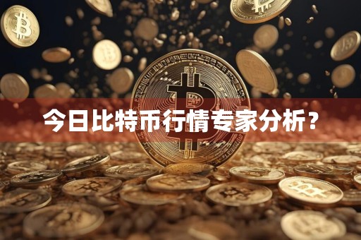 今日比特币行情专家分析？