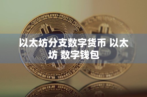 以太坊分支数字货币 以太坊 数字钱包