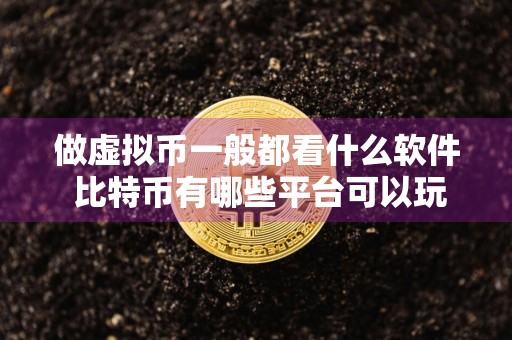 做虚拟币一般都看什么软件 比特币有哪些平台可以玩