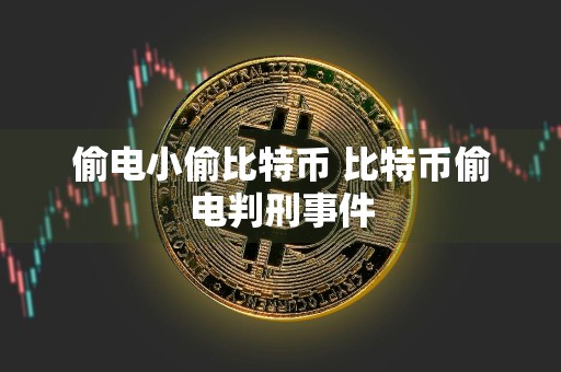 偷电小偷比特币 比特币偷电判刑事件