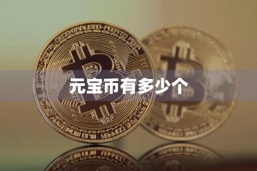 元宝币有多少个