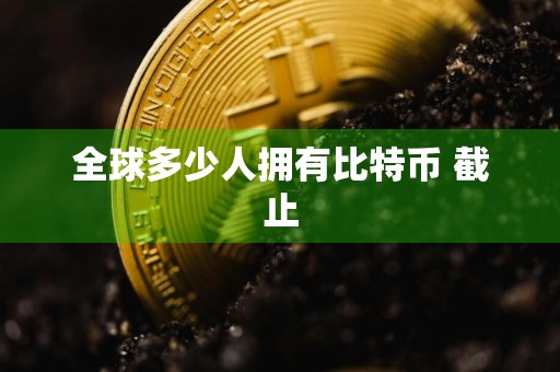 全球多少人拥有比特币 截止