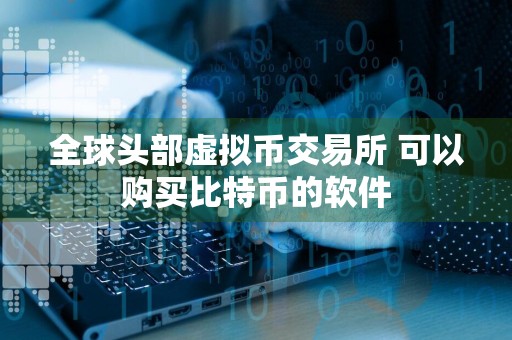 全球头部虚拟币交易所 可以购买比特币的软件