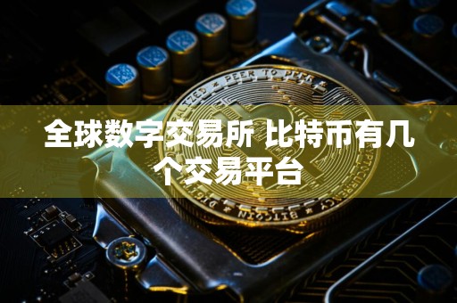 全球数字交易所 比特币有几个交易平台