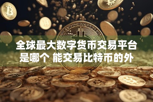 全球最大数字货币交易平台是哪个 能交易比特币的外汇平台