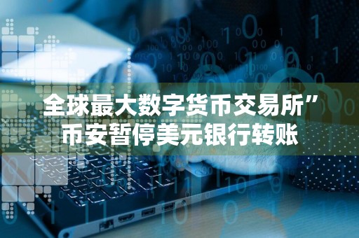 全球最大数字货币交易所”币安暂停美元银行转账