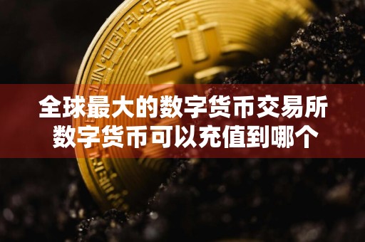 全球最大的数字货币交易所 数字货币可以充值到哪个平台