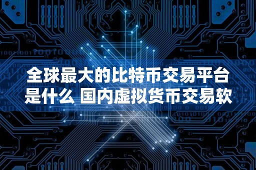 全球最大的比特币交易平台是什么 国内虚拟货币交易软件