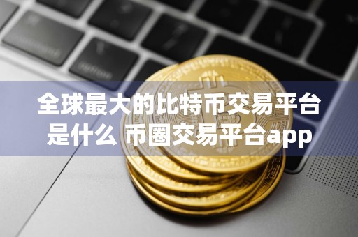 全球最大的比特币交易平台是什么 币圈交易平台app