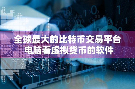 全球最大的比特币交易平台 电脑看虚拟货币的软件