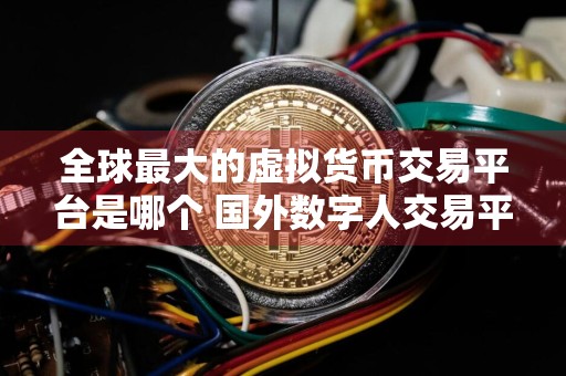 全球最大的虚拟货币交易平台是哪个 国外数字人交易平台