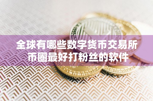 全球有哪些数字货币交易所 币圈最好打粉丝的软件