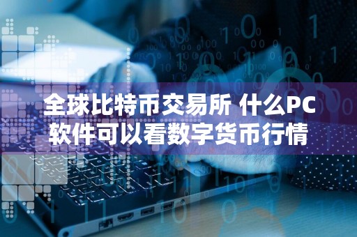 全球比特币交易所 什么PC软件可以看数字货币行情