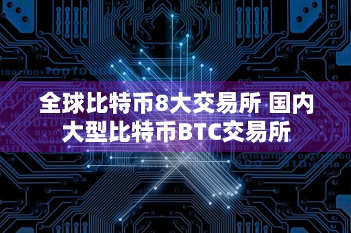 全球比特币8大交易所 国内大型比特币BTC交易所