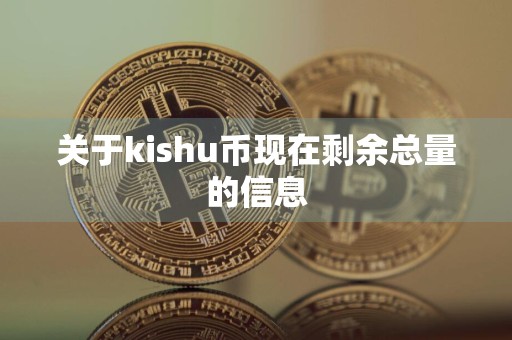 关于kishu币现在剩余总量的信息