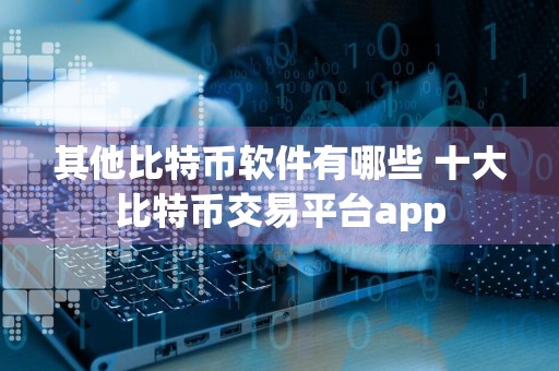 其他比特币软件有哪些 十大比特币交易平台app