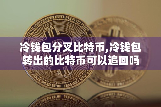 冷钱包分叉比特币,冷钱包转出的比特币可以追回吗