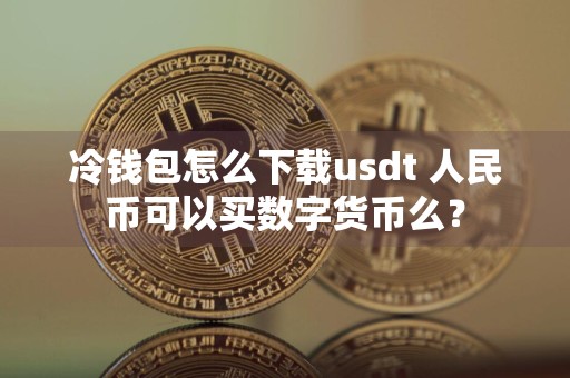 冷钱包怎么下载usdt 人民币可以买数字货币么?