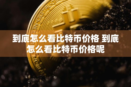 到底怎么看比特币价格 到底怎么看比特币价格呢