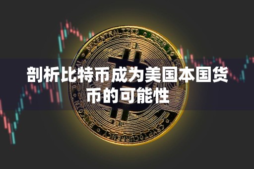 剖析比特币成为美国本国货币的可能性