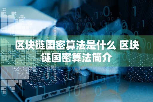 区块链国密算法是什么 区块链国密算法简介