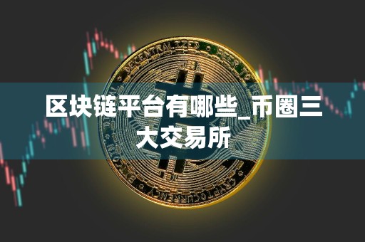 区块链平台有哪些_币圈三大交易所