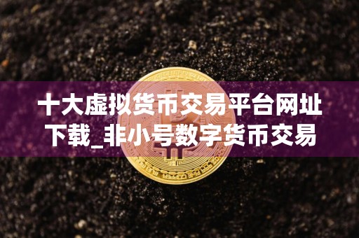 十大虚拟货币交易平台网址下载_非小号数字货币交易平台