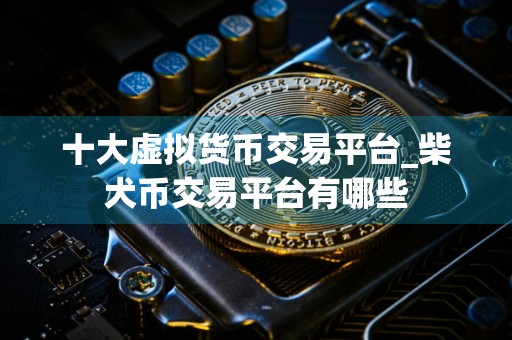 十大虚拟货币交易平台_柴犬币交易平台有哪些