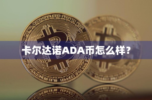 卡尔达诺ADA币怎么样?