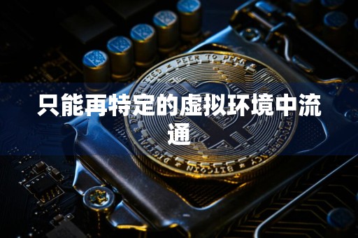 只能再特定的虚拟环境中流通
