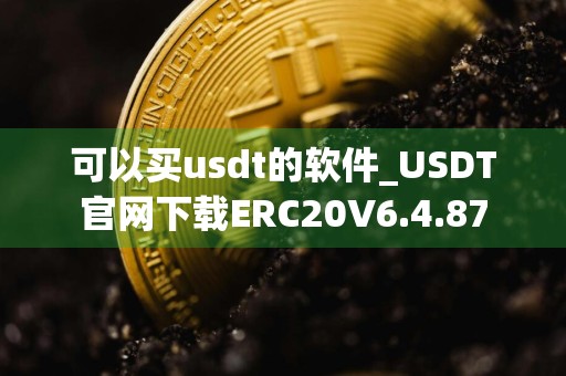 可以买usdt的软件_USDT官网下载ERC20V6.4.87