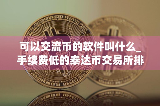可以交流币的软件叫什么_手续费低的泰达币交易所排行