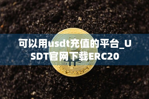 可以用usdt充值的平台_USDT官网下载ERC20