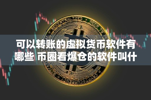 可以转账的虚拟货币软件有哪些 币圈看爆仓的软件叫什么