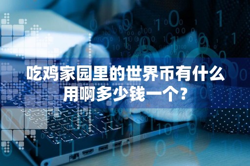 吃鸡家园里的世界币有什么用啊多少钱一个？