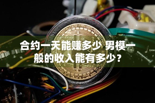 合约一天能赚多少 男模一般的收入能有多少？