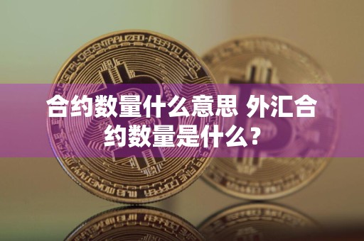 合约数量什么意思 外汇合约数量是什么？