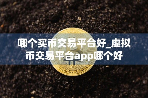 哪个买币交易平台好_虚拟币交易平台app哪个好