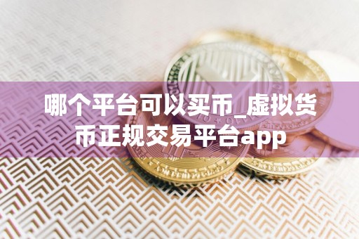 哪个平台可以买币_虚拟货币正规交易平台app