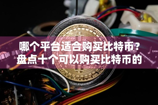 哪个平台适合购买比特币？盘点十个可以购买比特币的平台