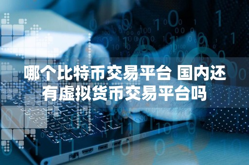 哪个比特币交易平台 国内还有虚拟货币交易平台吗