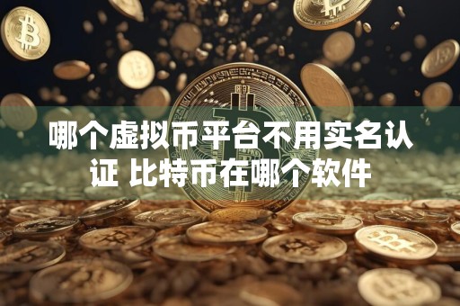 哪个虚拟币平台不用实名认证 比特币在哪个软件