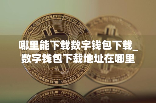 哪里能下载数字钱包下载_数字钱包下载地址在哪里