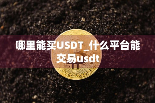 哪里能买USDT_什么平台能交易usdt