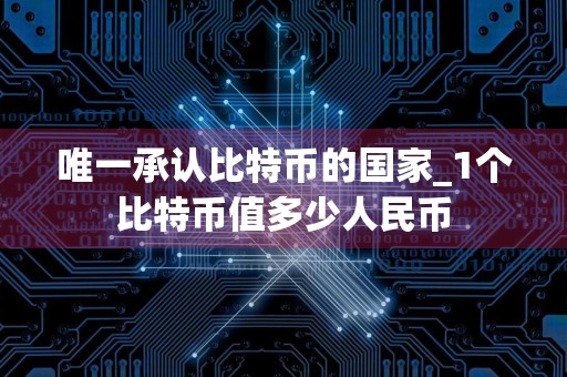 唯一承认比特币的国家_1个比特币值多少人民币