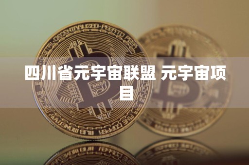 四川省元宇宙联盟 元宇宙项目
