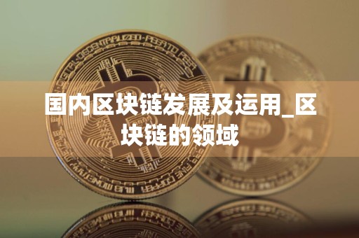 国内区块链发展及运用_区块链的领域