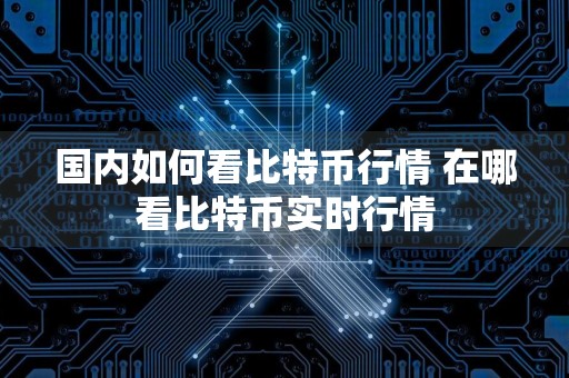 国内如何看比特币行情 在哪看比特币实时行情